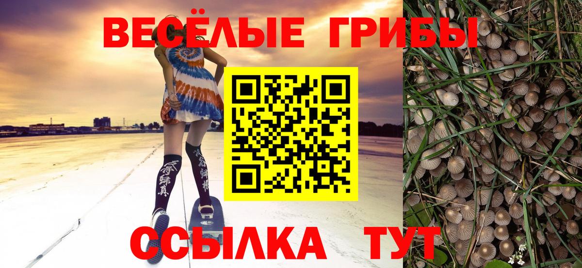 Галлюциногенные грибы Cubensis  Псилоцибиновые грибы GOLDEN TEACHER  купить наркотик  Вход с VPN  Ханты-Мансийск 